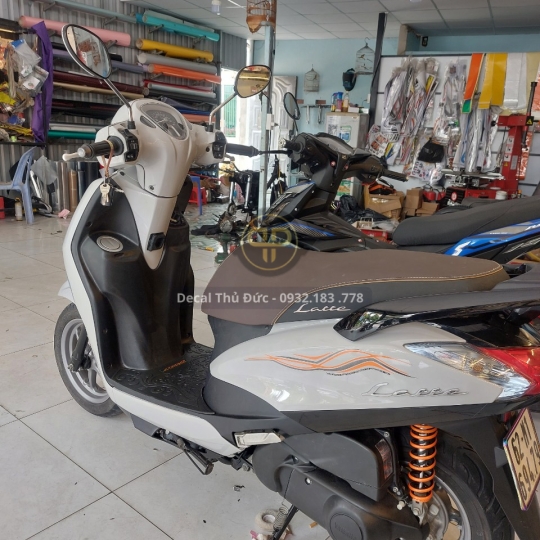 DÁN ĐỔI MÀU 
