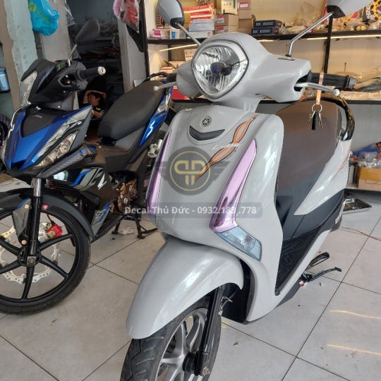 DÁN ĐỔI MÀU 
